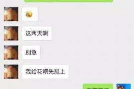 福鼎企业清欠服务